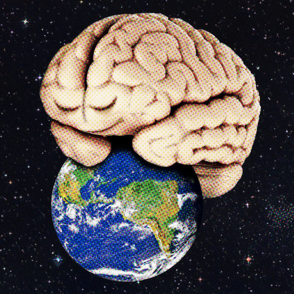 This is Your Brain on Earth