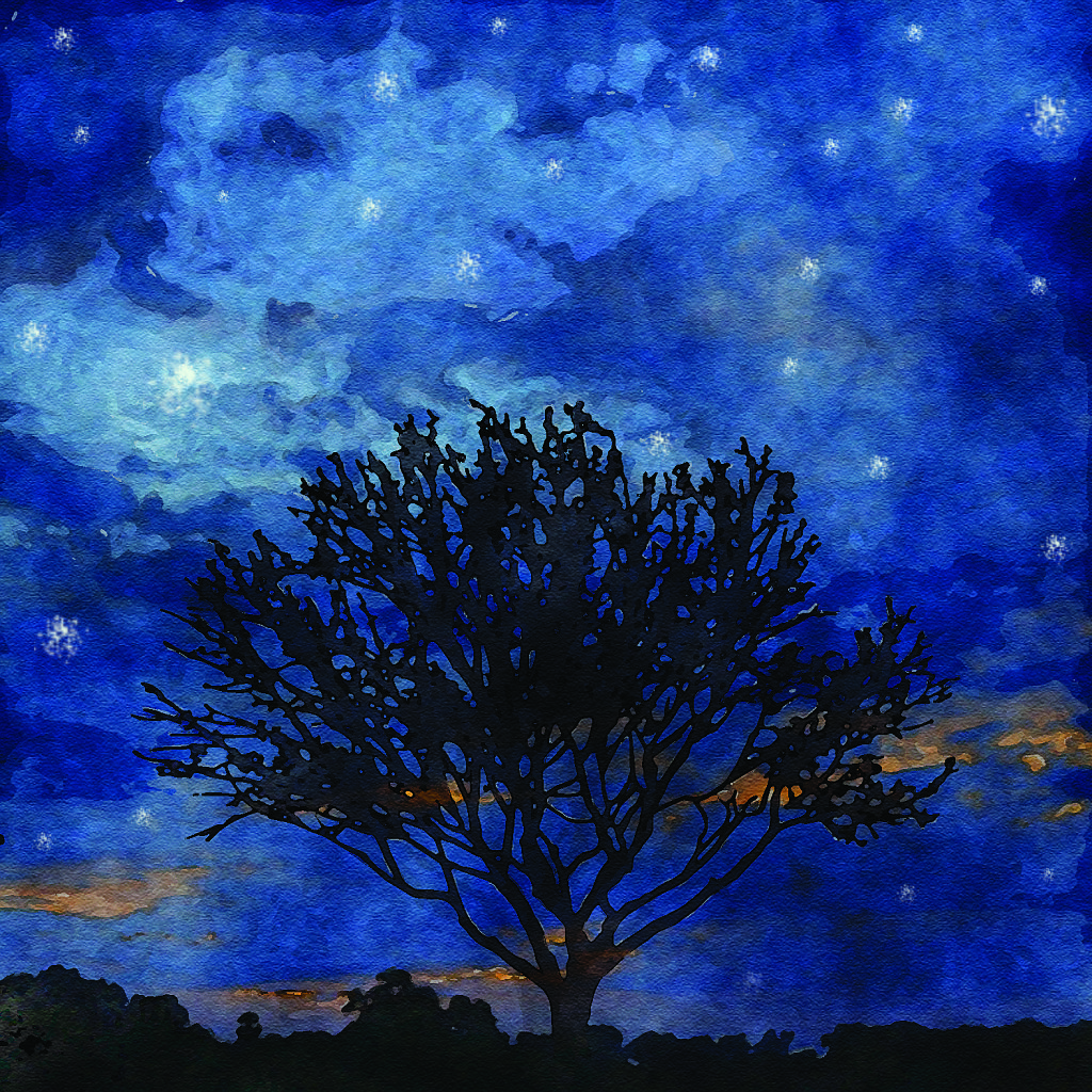 Night Tree