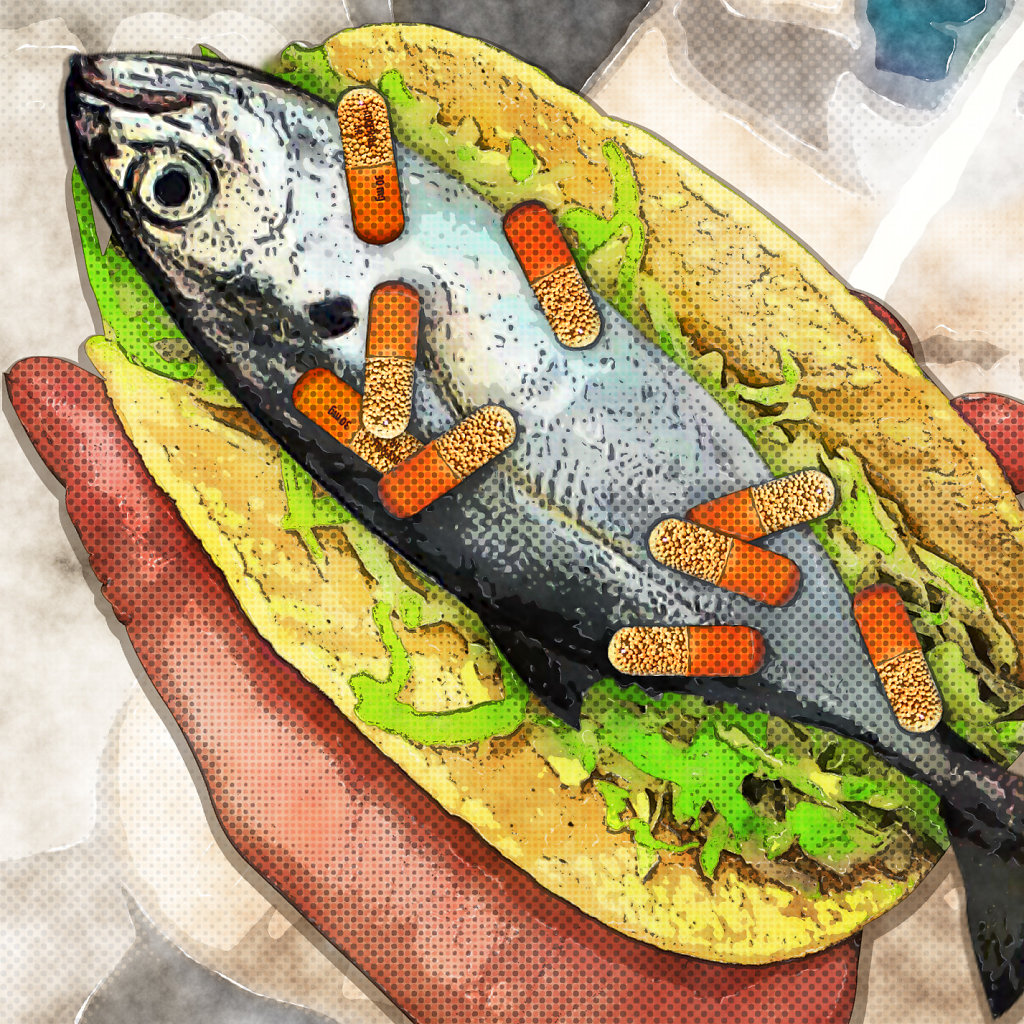 Fish Taco