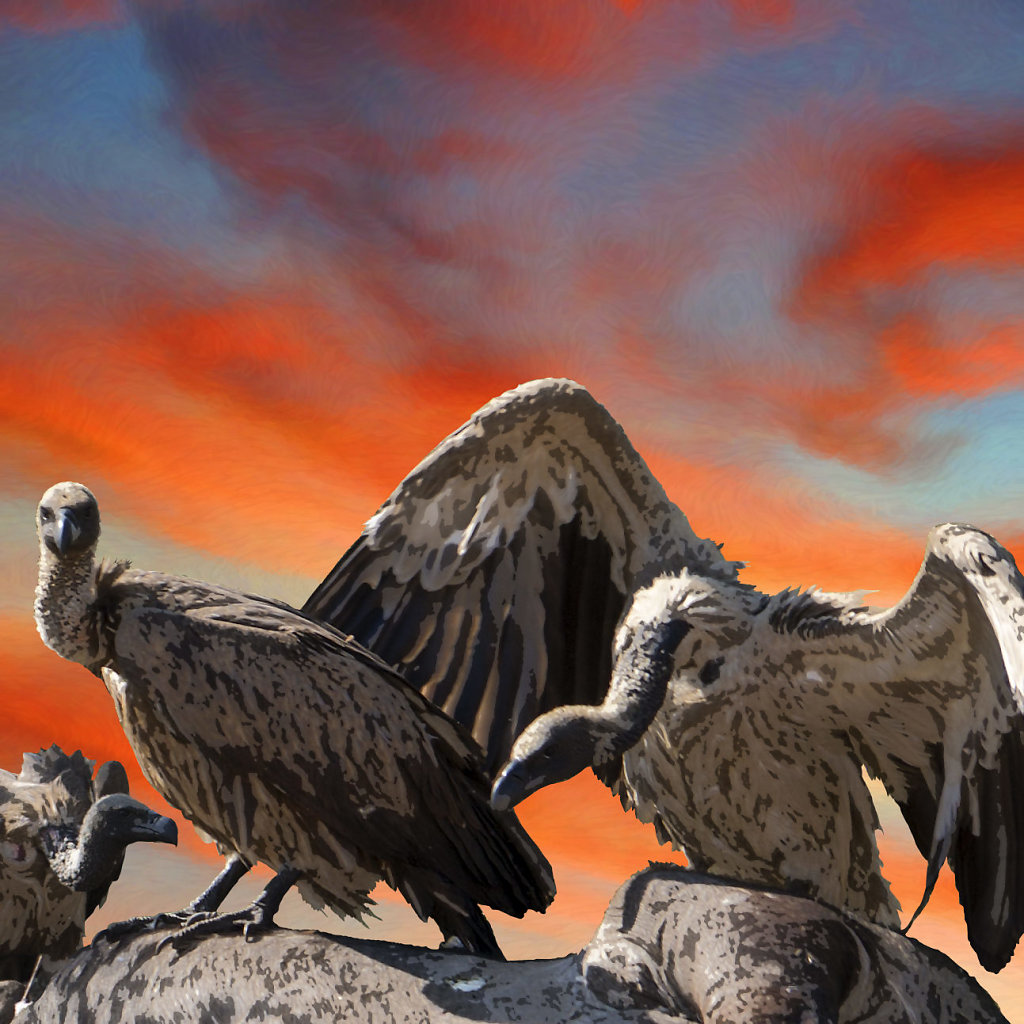 Vulture Skies